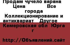 Продам чучело варана. › Цена ­ 15 000 - Все города Коллекционирование и антиквариат » Другое   . Кемеровская обл.,Юрга г.